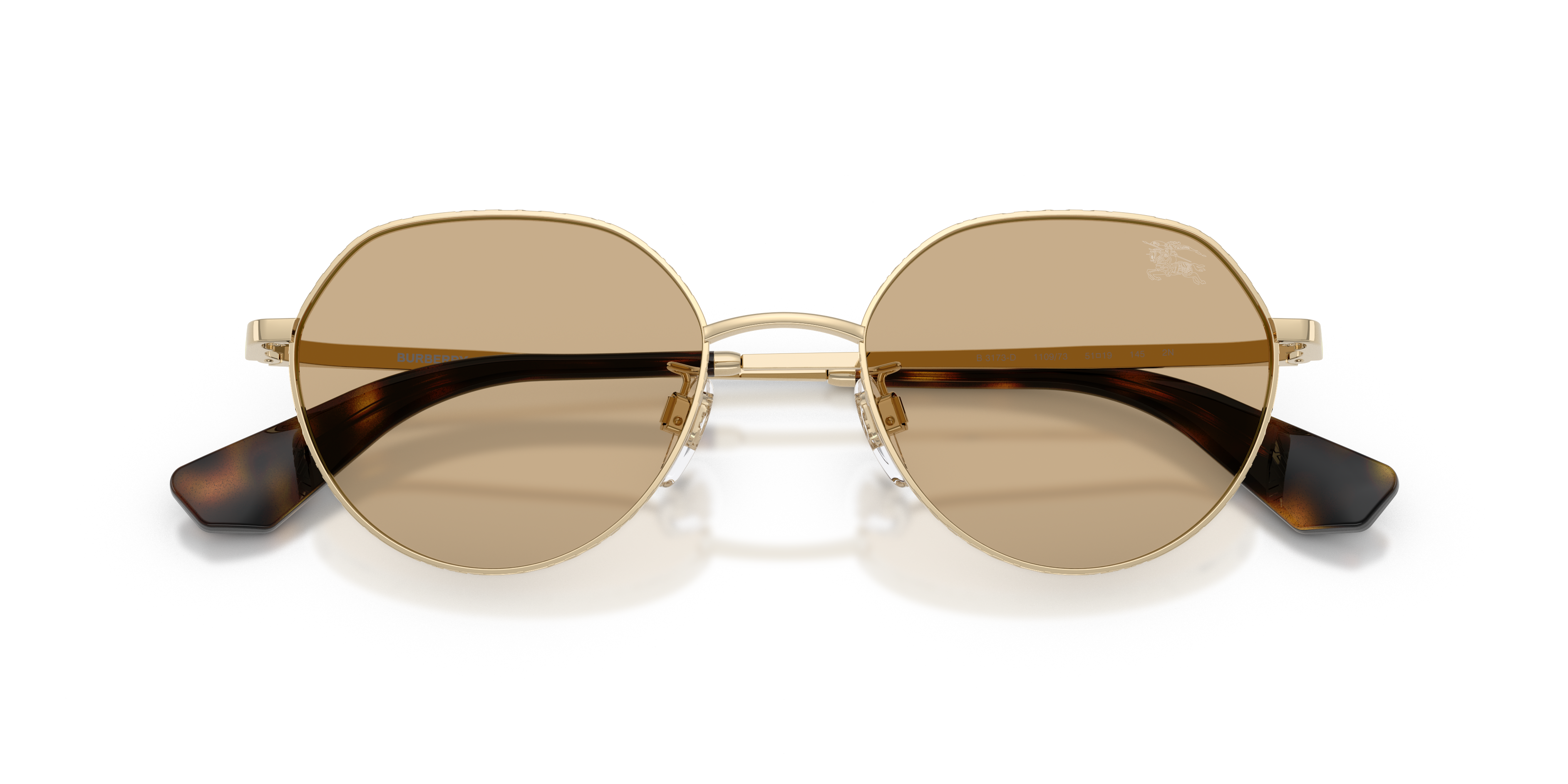 Burberry BE3173D 110973  